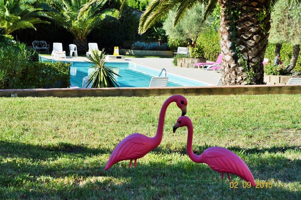 Villa Les 4 Saisons Saint Tropez Eksteriør bilde